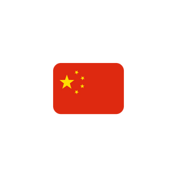 Chinesische Pokémon Karten